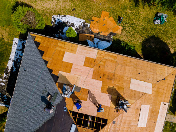 Best Metal Roofing Contractor  in Tyro, NC