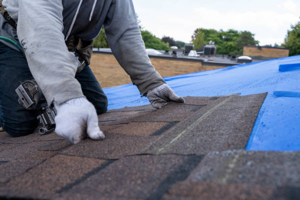Best Roof Repair Services  in Tyro, NC