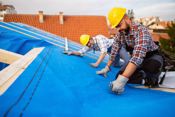 Best Roof Inspection Near Me  in Tyro, NC